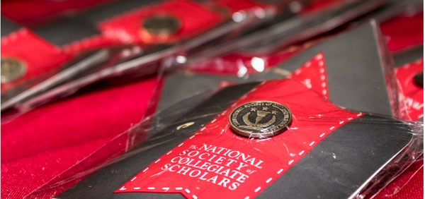 NSCS Membership Pin